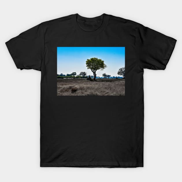 Trees and Termite Mounds T-Shirt by Steves-Pics